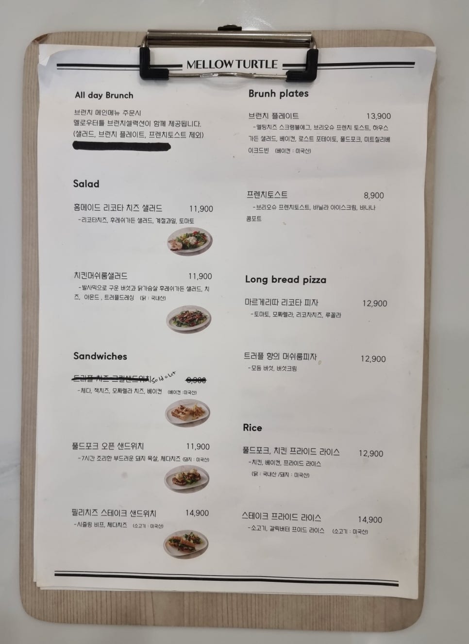 터틀파스타 이미지