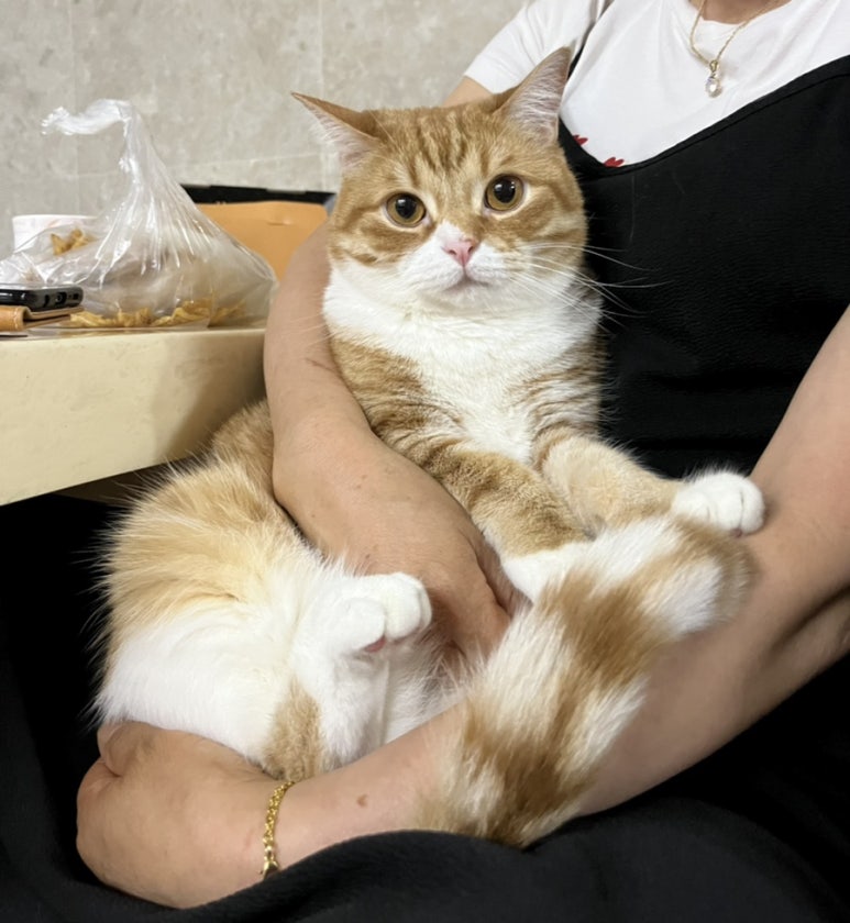 디알메디테크 이미지