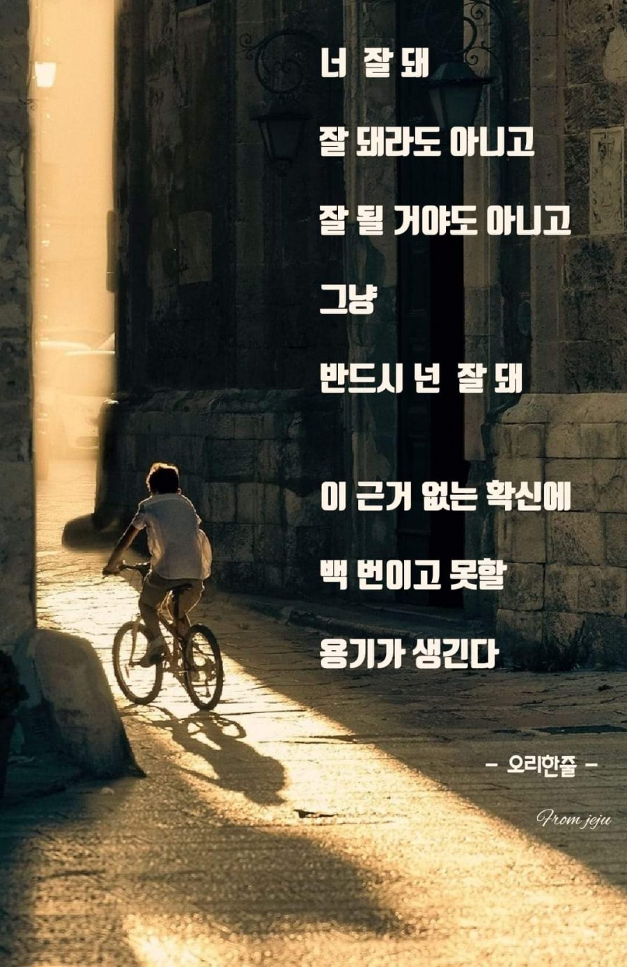 인생연어 이미지