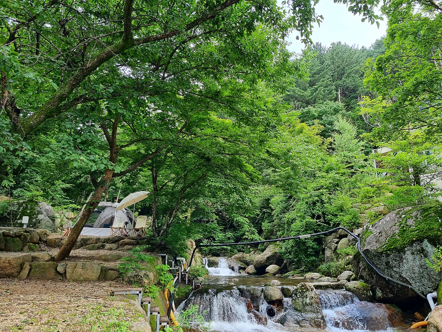진틀펜션캠핑장 이미지