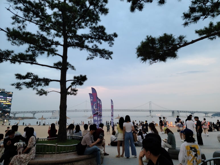 정필자리폼샵 이미지