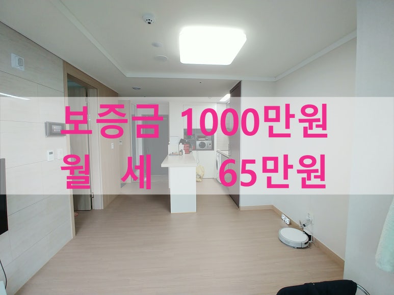 주식회사 라온베이 이미지