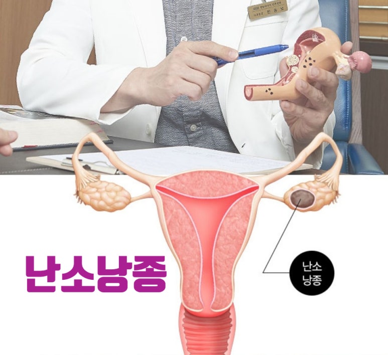 강남라이프산부인과 이미지