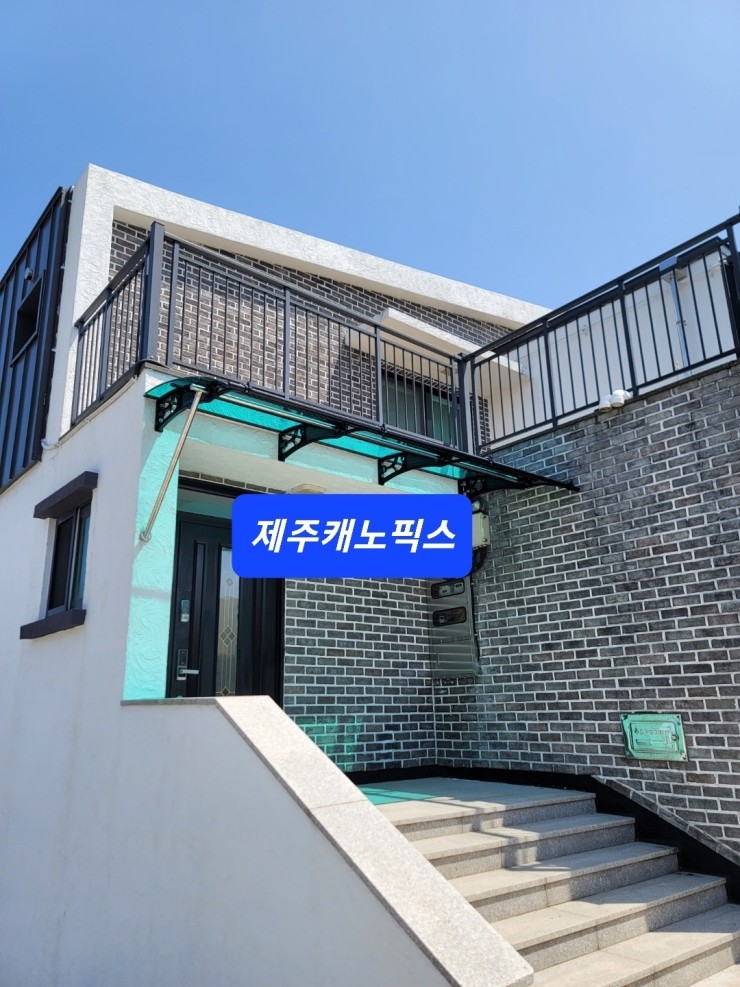 제주캐노픽스 이미지
