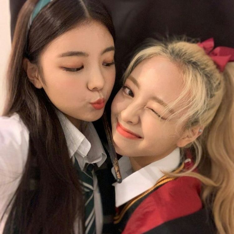 마이델리 이미지
