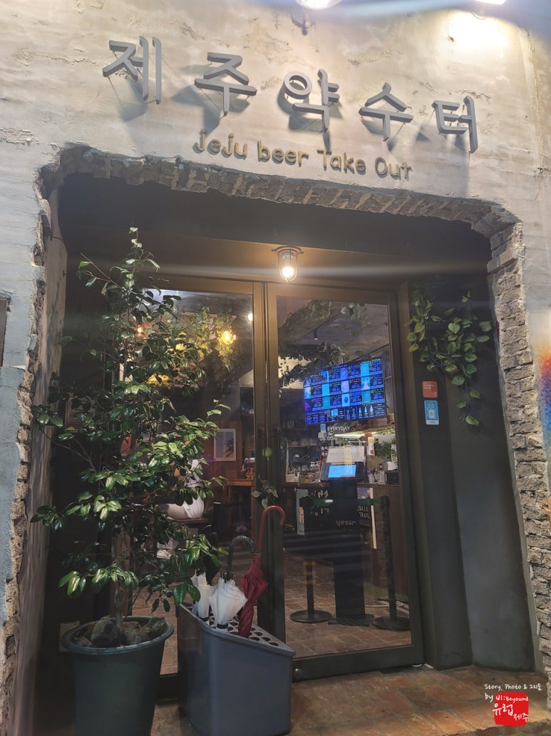 메이비제주 이미지