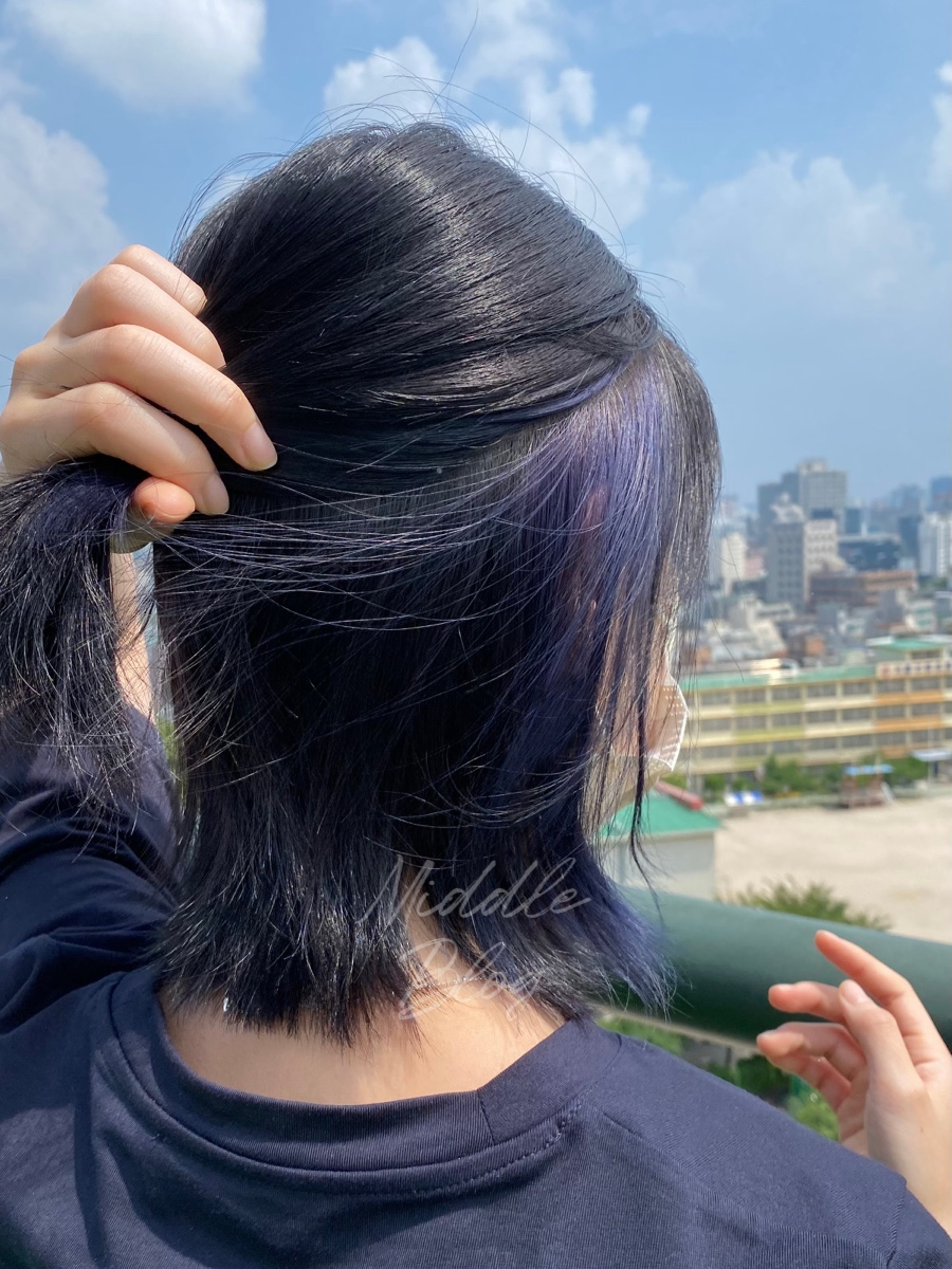 살롱이즈 이미지