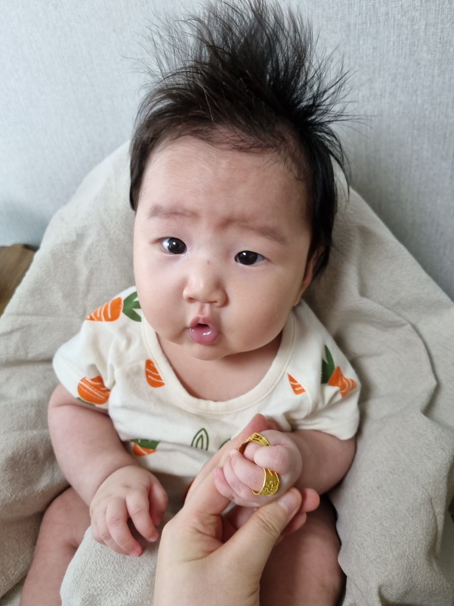 호랭이잔칫상 이미지