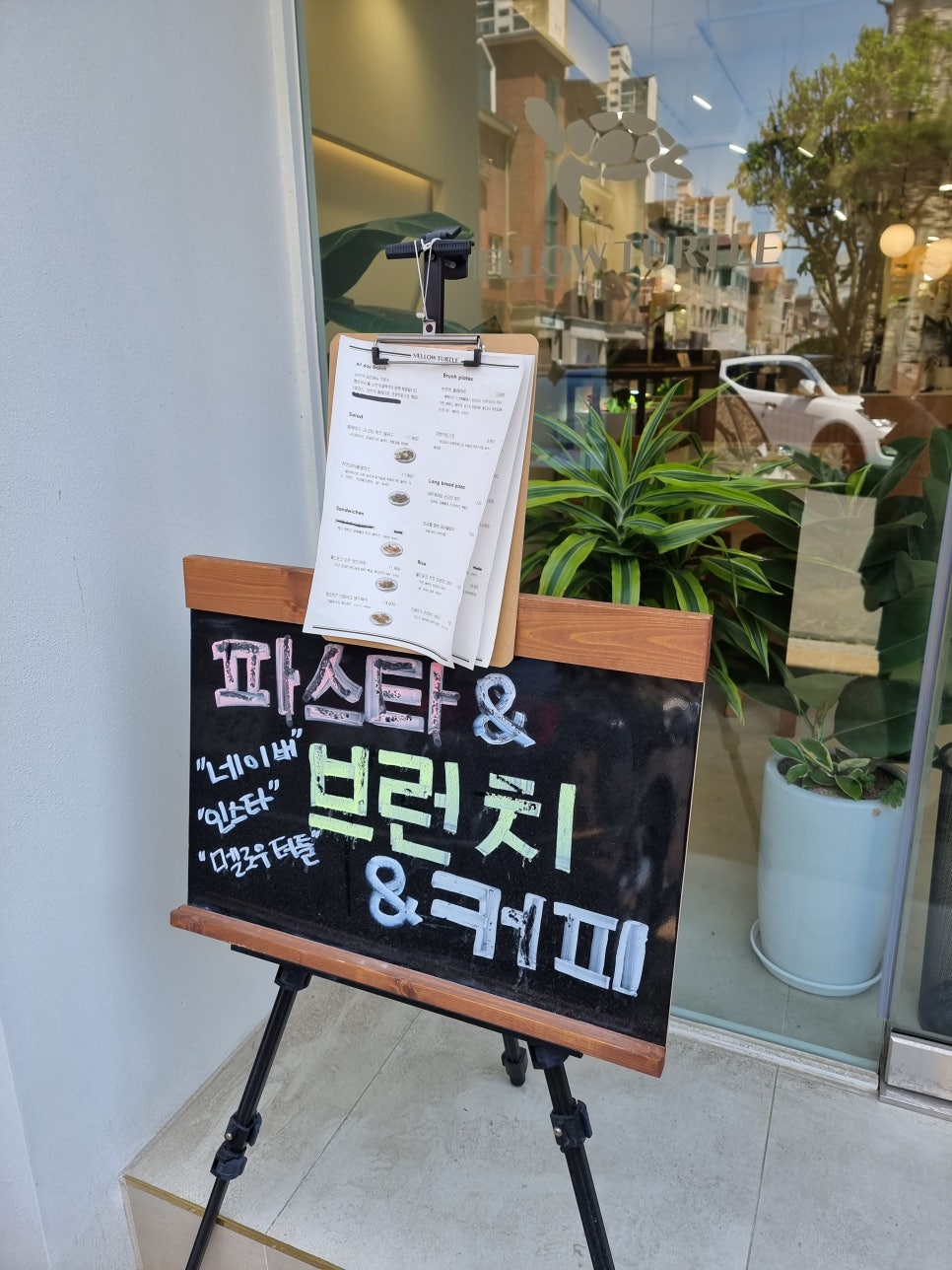 터틀파스타 이미지