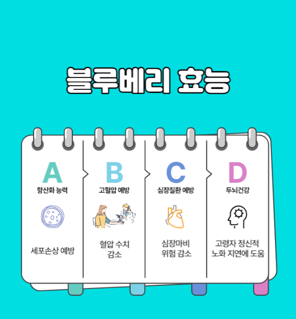 사계절냉동 이미지