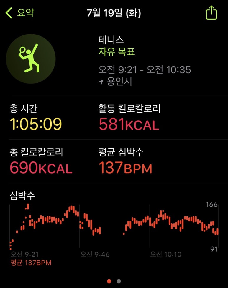 하이발리테니스 이미지