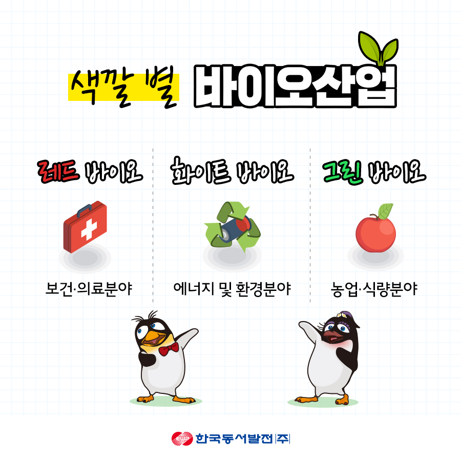 화이트환경 이미지