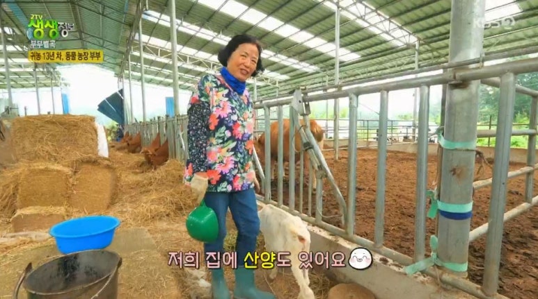 산골맑은한우 이미지