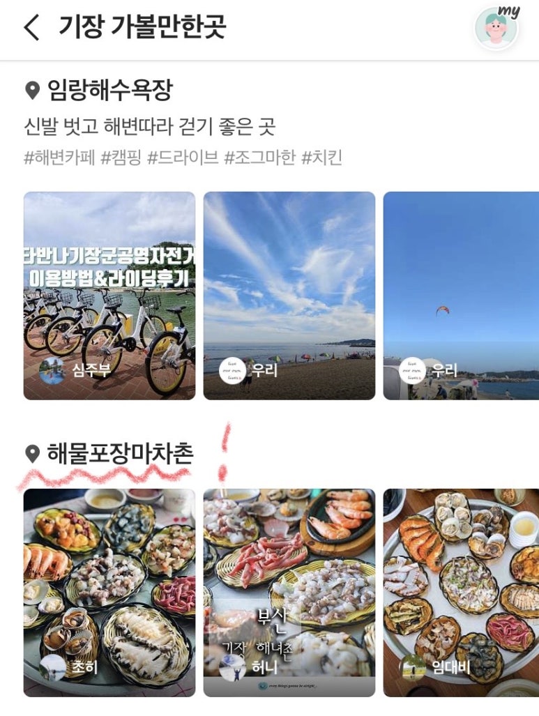 해물포 이미지