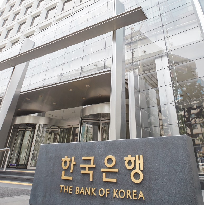 더미인's 이미지