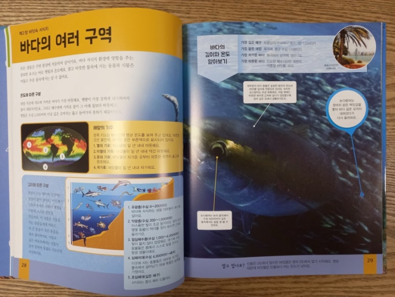 대양실사 이미지