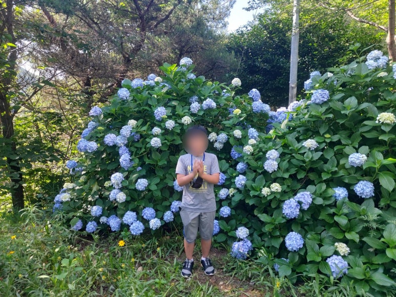 칠천도육각정펜션 이미지