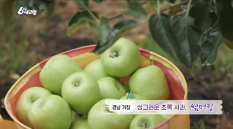 내고향사과쥬스 이미지