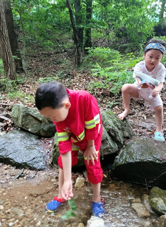 지온숲 이미지