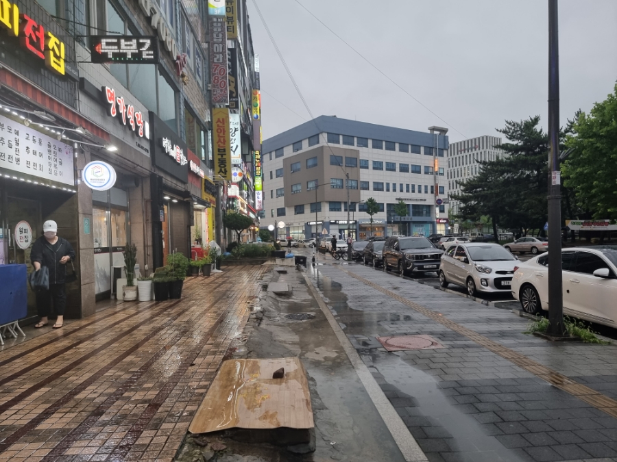 월피전집 이미지