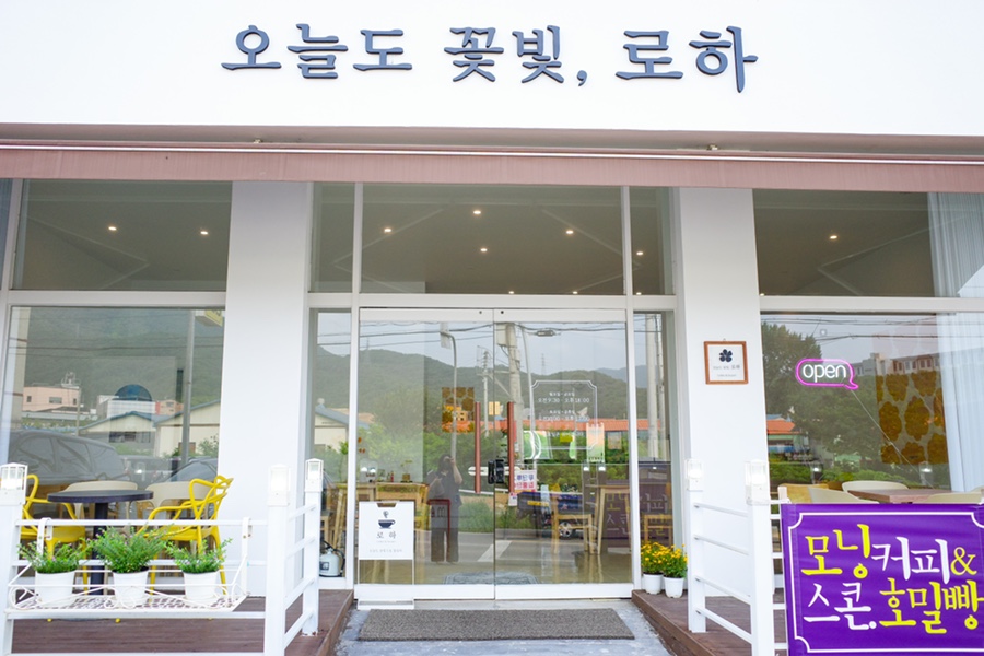 오늘도꽃빛;로하 이미지