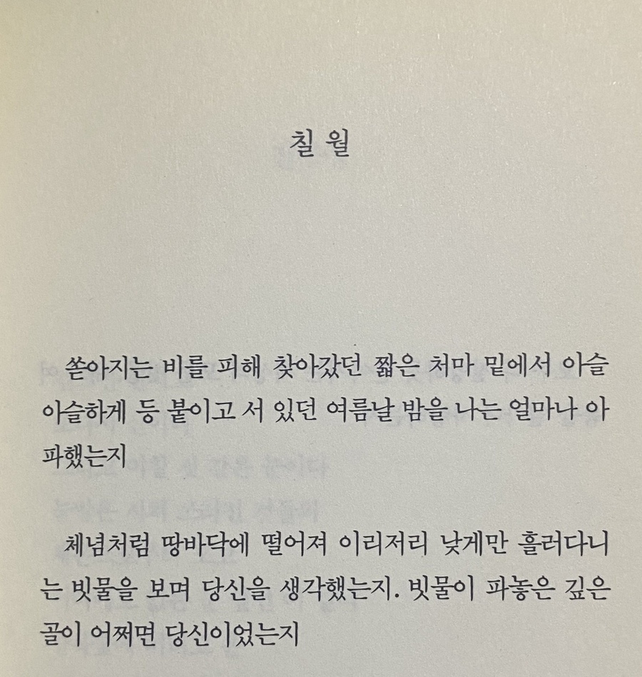 칠월밤 이미지