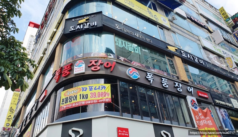 폭풍장어중동 이미지