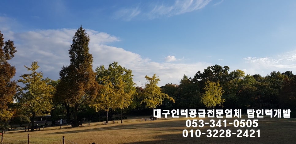 탑 직업소개소 이미지