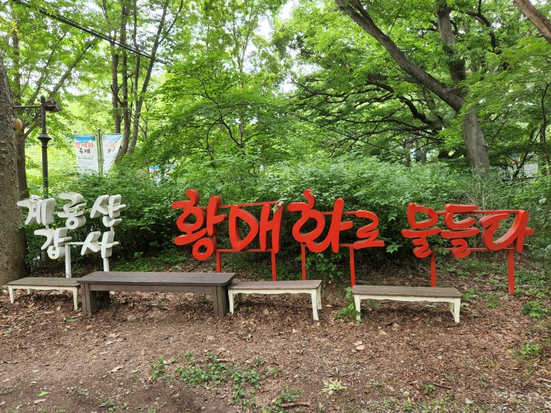 메아리식당 이미지