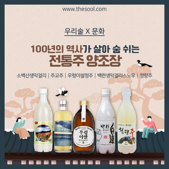술닷컴 이미지