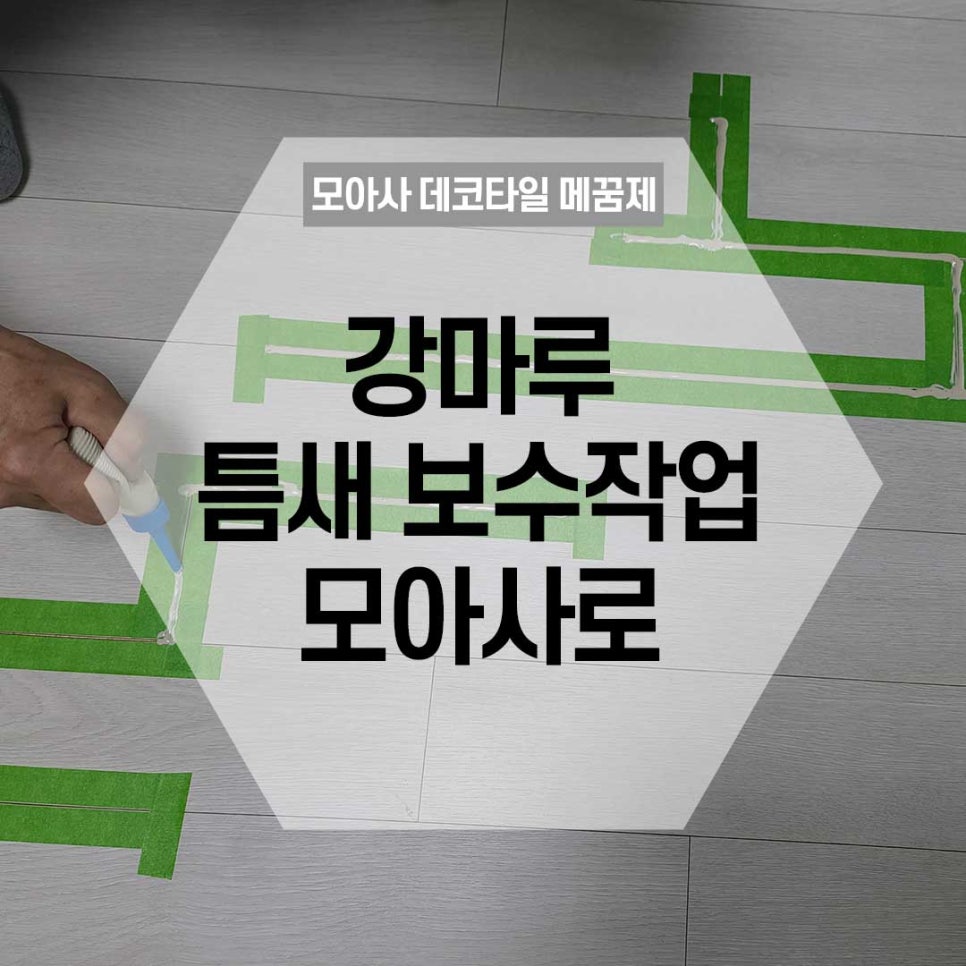 모아사 이미지