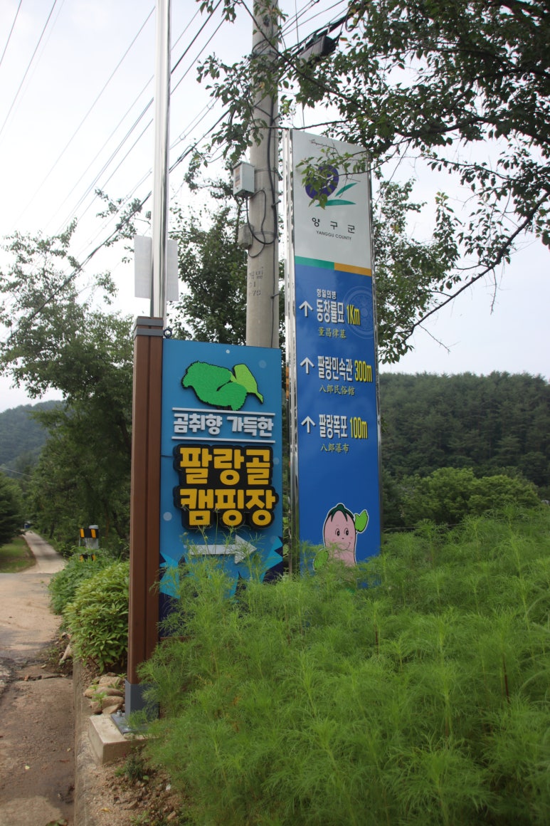 곰취향 가득한 팔랑골 캠핑장 이미지