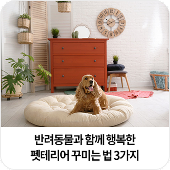 행복홈인테리어 이미지