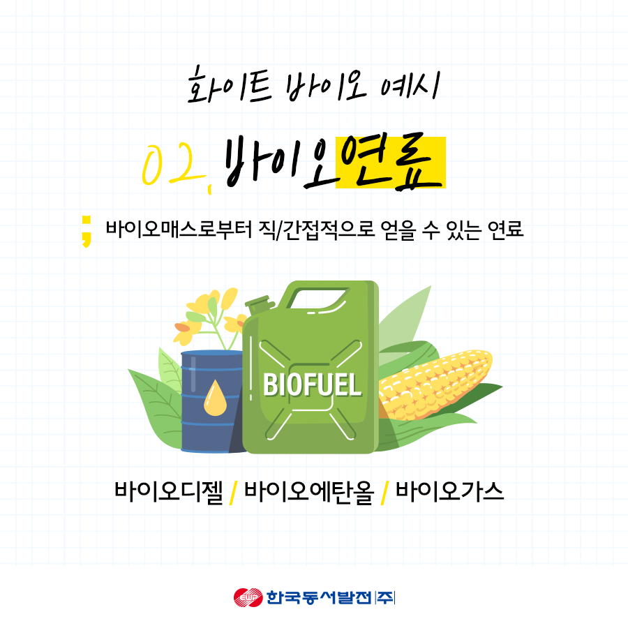 화이트환경 이미지