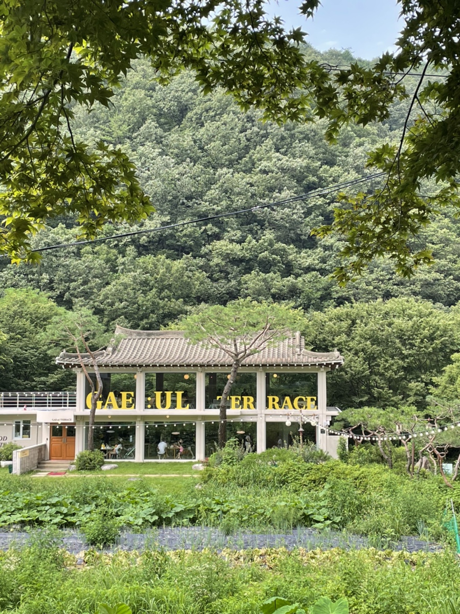 오전리테라스 이미지