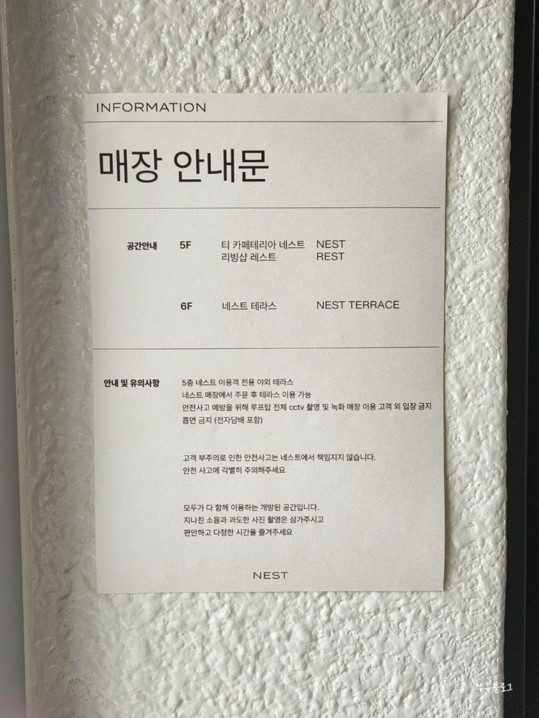 티레스트 이미지