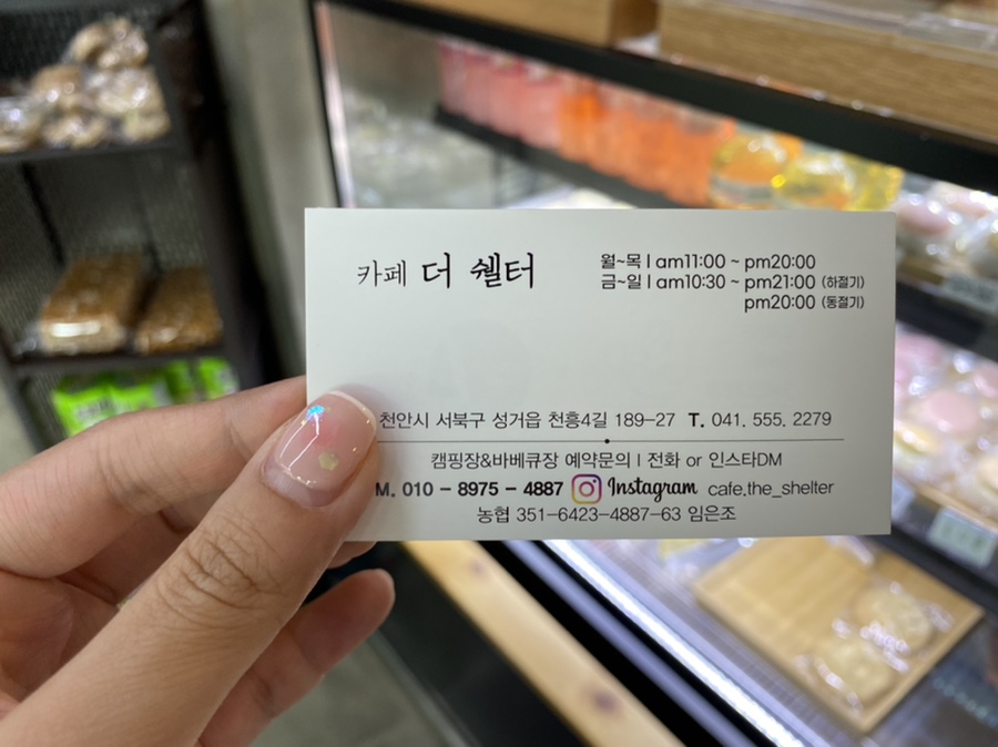 더쉘터 이미지