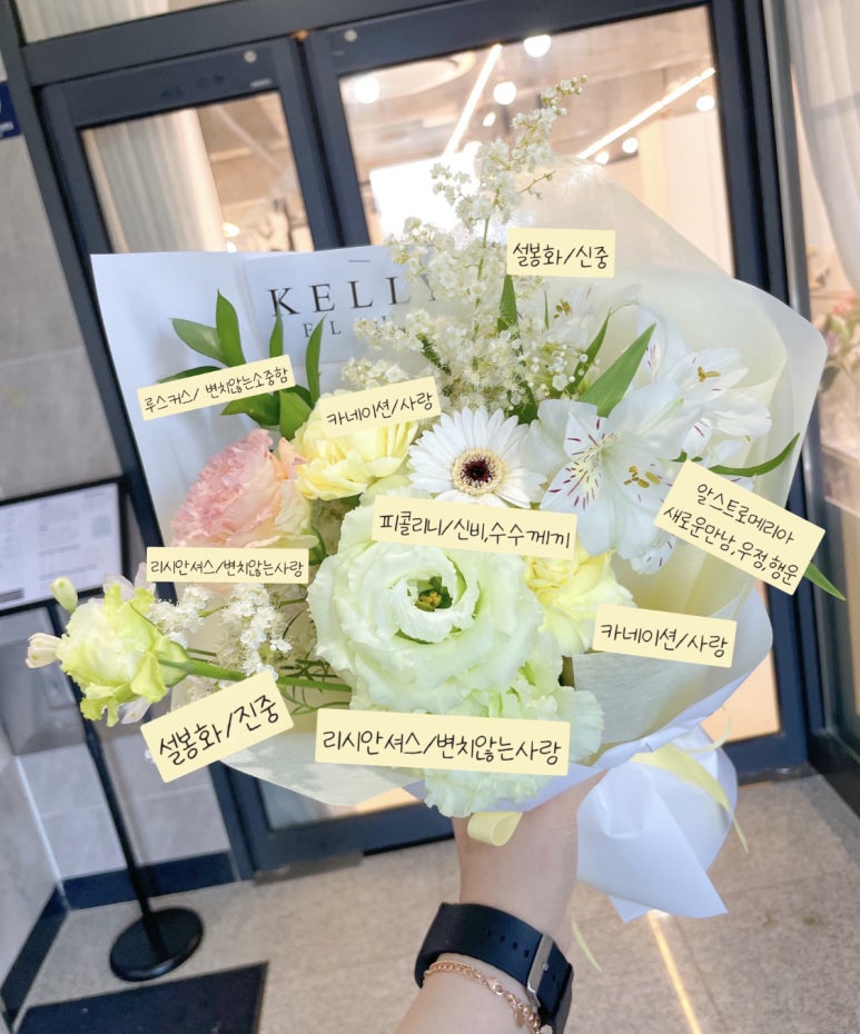 켈리플레르 이미지