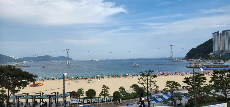 송도 통큰 조개 이미지