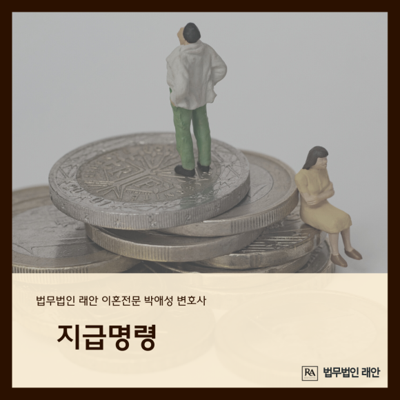법무법인래안 이미지