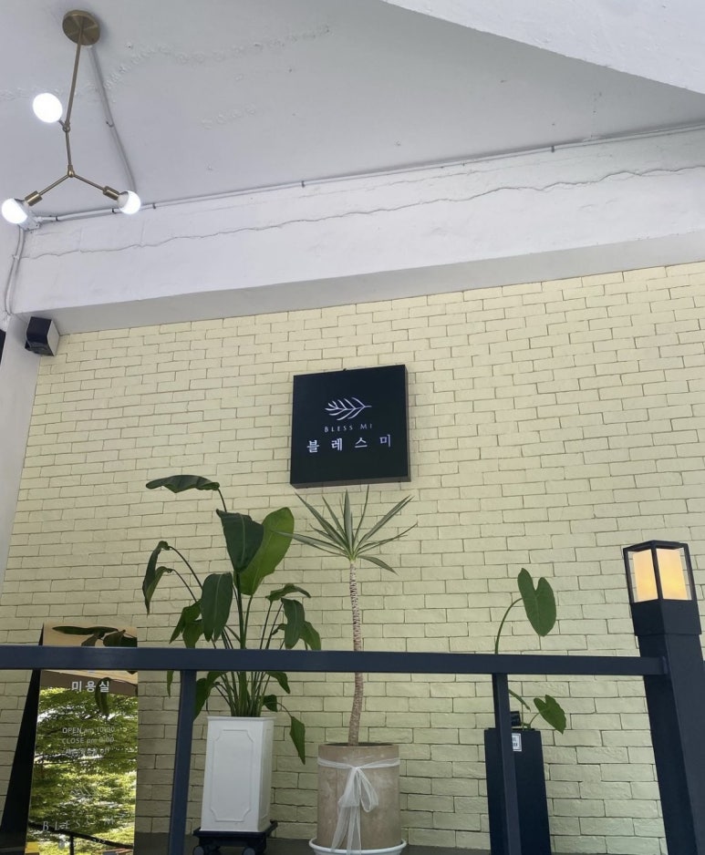 블레스미 이미지