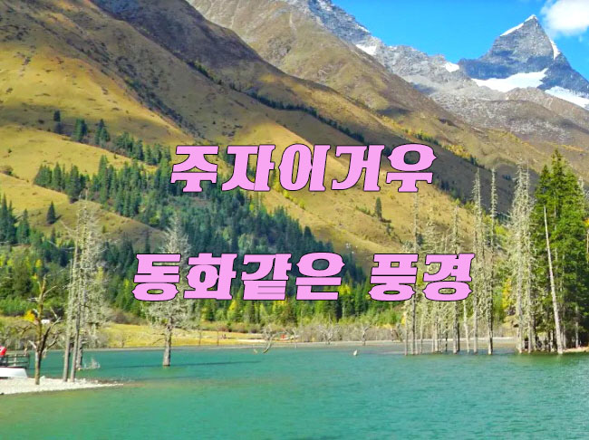 수림세계여행 이미지