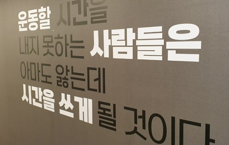 메카헬스클럽 이미지