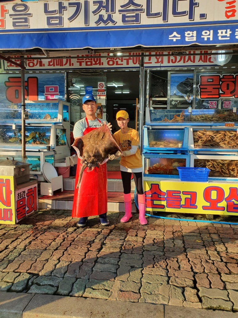 구룡포대게회 이미지