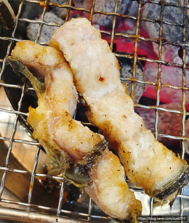 폭풍장어중동 이미지
