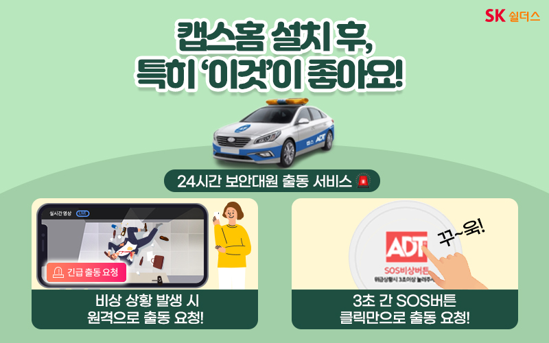 대한캡스 이미지