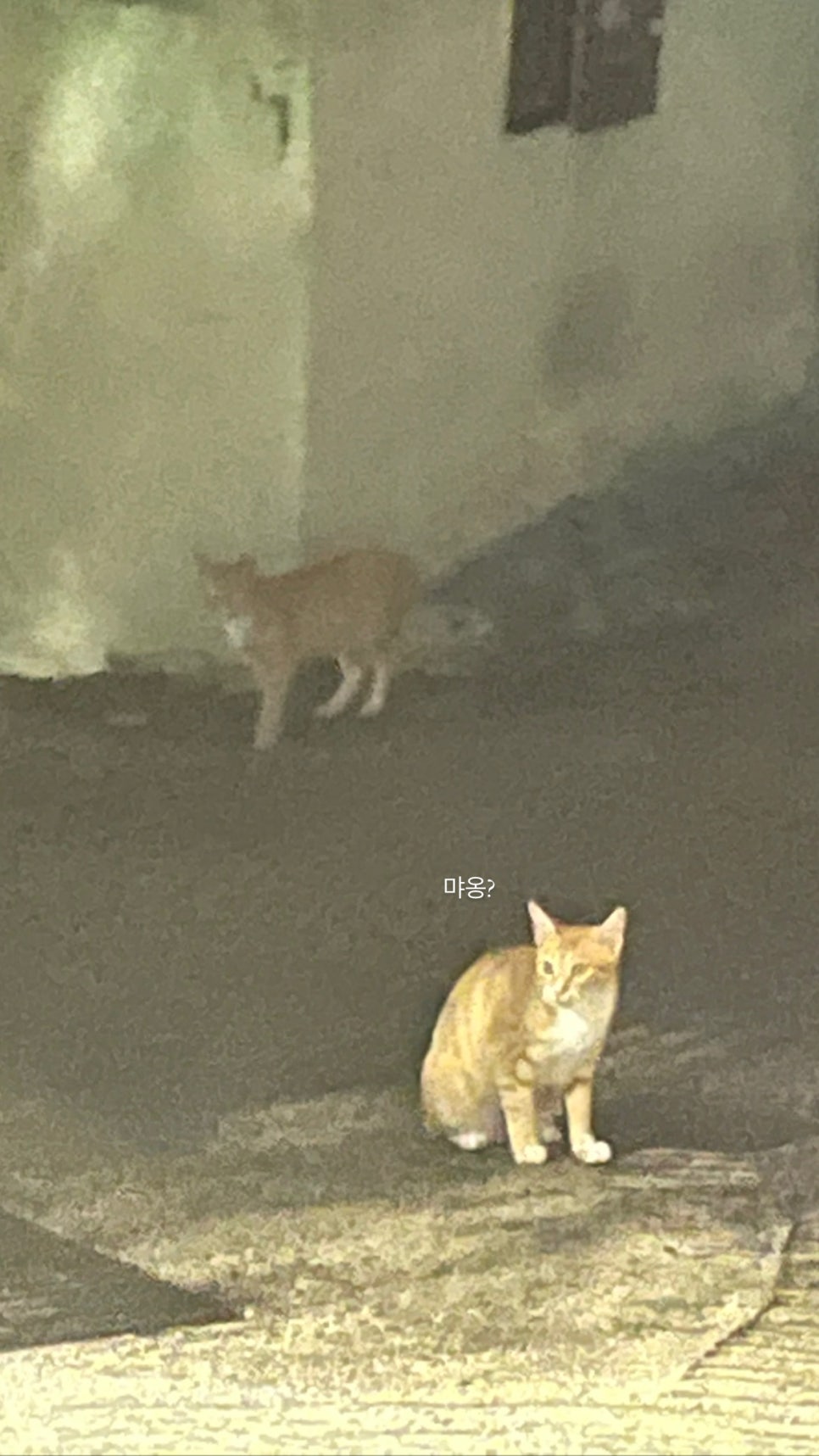 빌라드보나흐 이미지