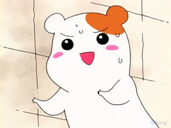 (주)우진참한우 이미지