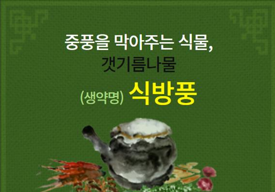 명의약초 이미지
