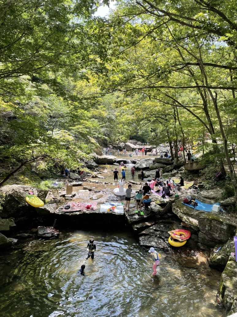 할멈탕수육김밥일곡점 이미지